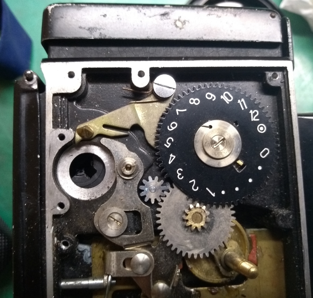 初めての二眼レフ WALZFLEXについて - kamoudonminomino's blog
