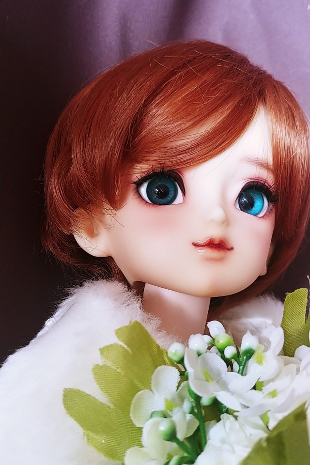 f:id:kamuco:20220217082219j:plain