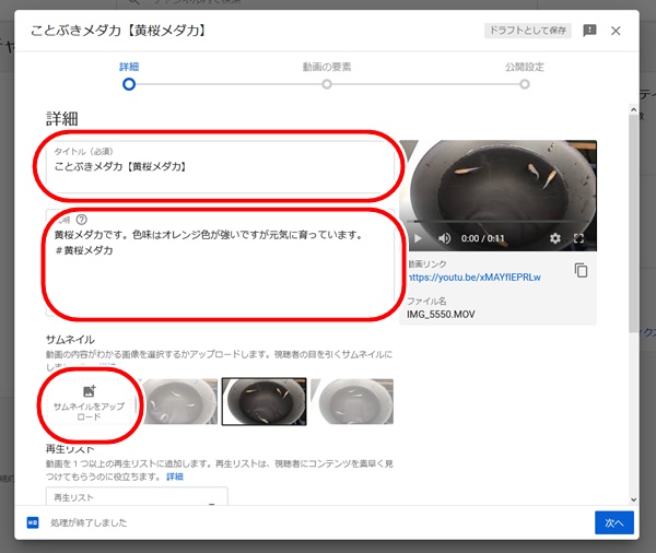 f:id:kamui23:20201004165202j:plain