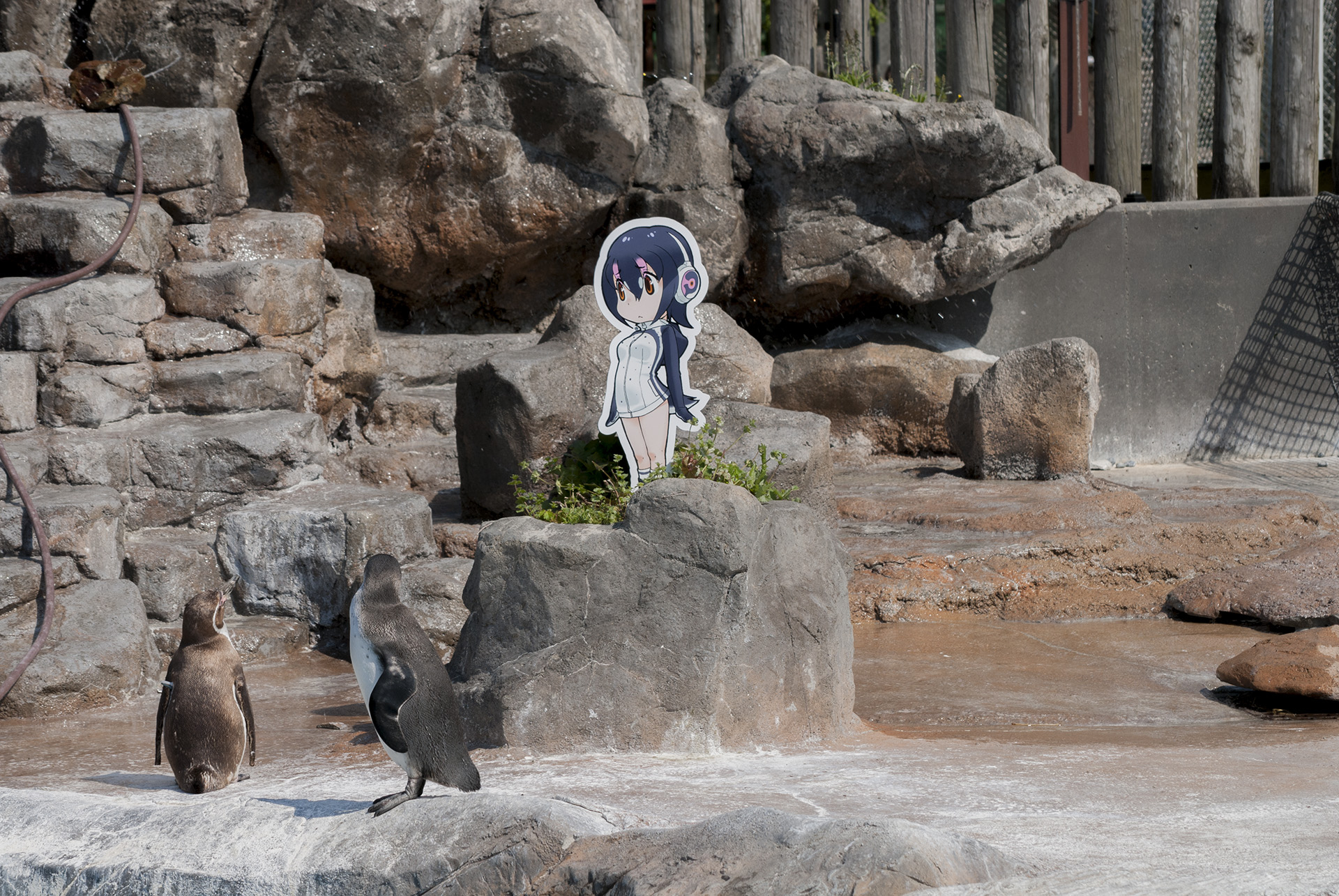 f:id:kamuneko:20170505163729j:plain f:id:kamuneko:20170505163729j:plain
