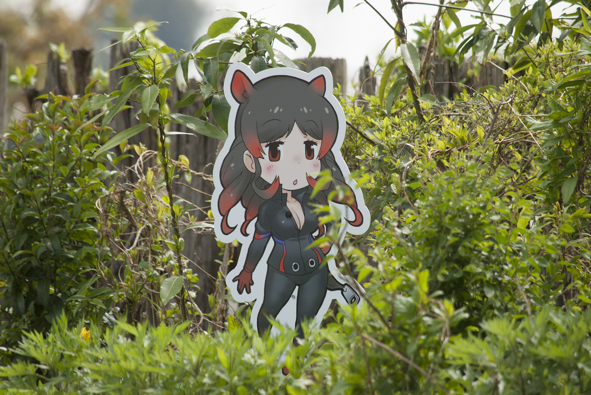 f:id:kamuneko:20170505164119j:plain f:id:kamuneko:20170505164119j:plain