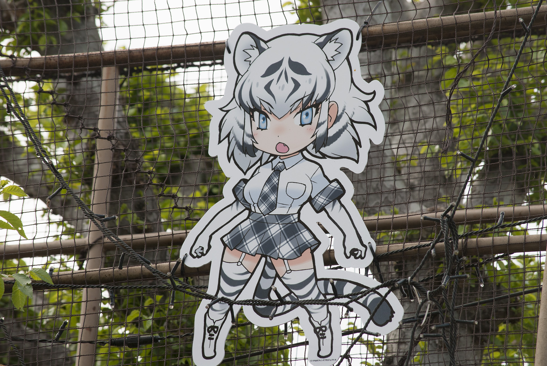 f:id:kamuneko:20170505165151j:plain f:id:kamuneko:20170505165151j:plain