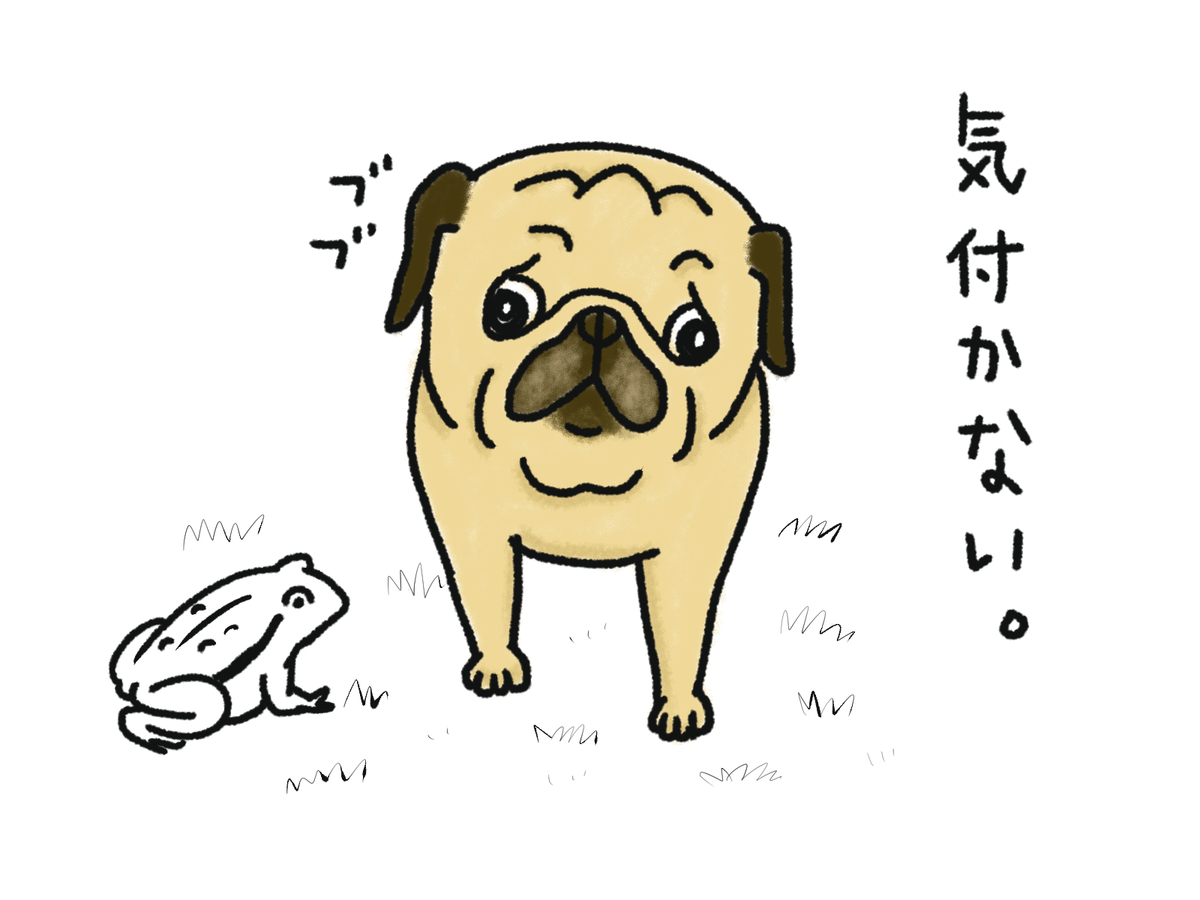 好きと嫌い 元保護犬パグのやり直し人 犬 生 好きと嫌い 元保護犬パグのやり直し人 犬 生