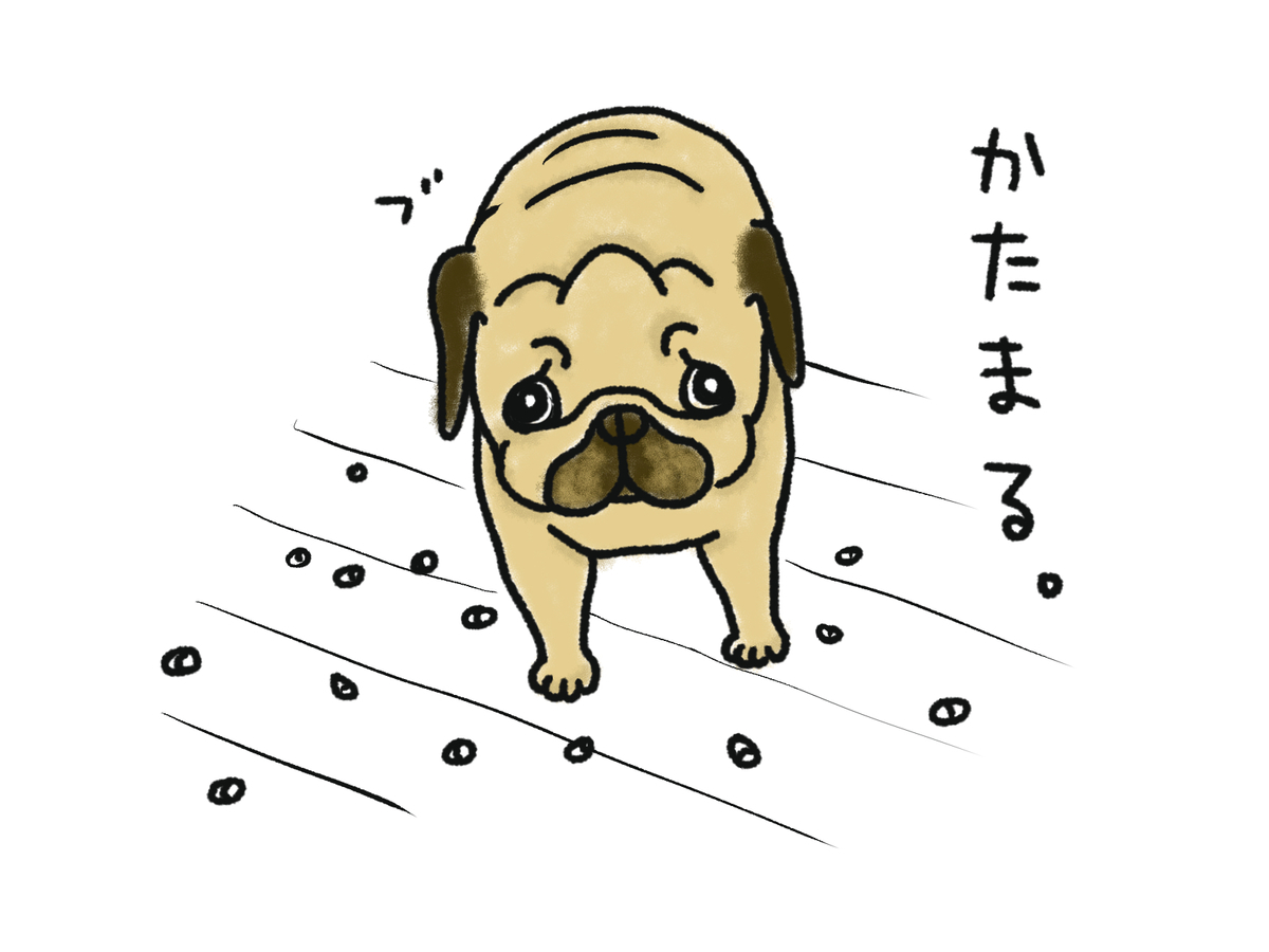 f:id:kamupug:20201004232152j:plain f:id:kamupug:20201004232152j:plain