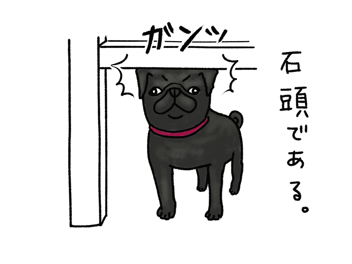 元保護犬パグのやり直し人 犬 生