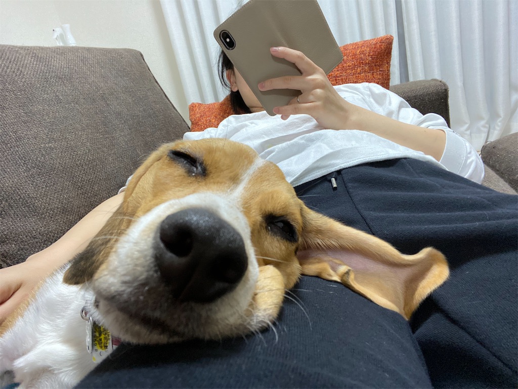 f:id:kamurido:20191216134618j:image f:id:kamurido:20191216134618j:image