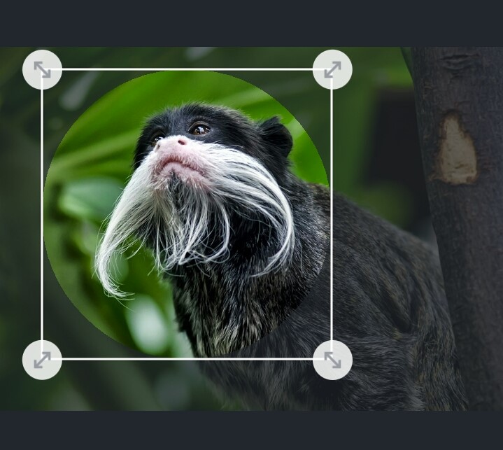 f:id:kamusoft:20161230234316j:plain f:id:kamusoft:20161230234316j:plain