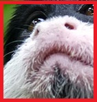 f:id:kamusoft:20161231002226j:plain f:id:kamusoft:20161231002226j:plain