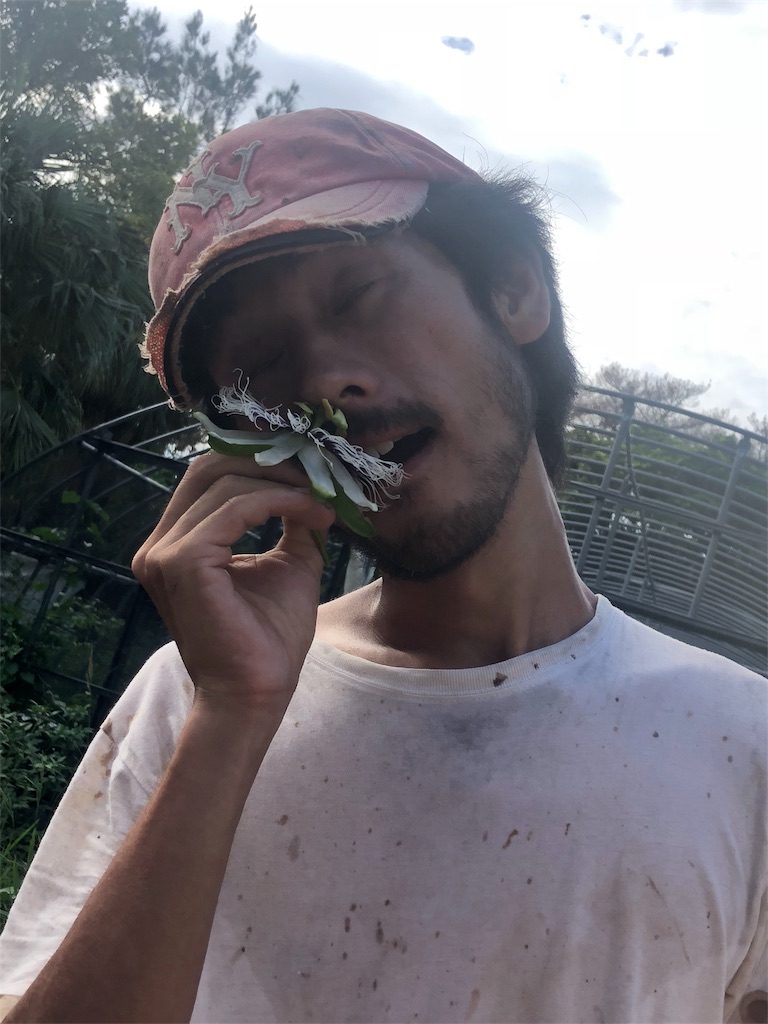 f:id:kan2chan2121:20180908083839j:image