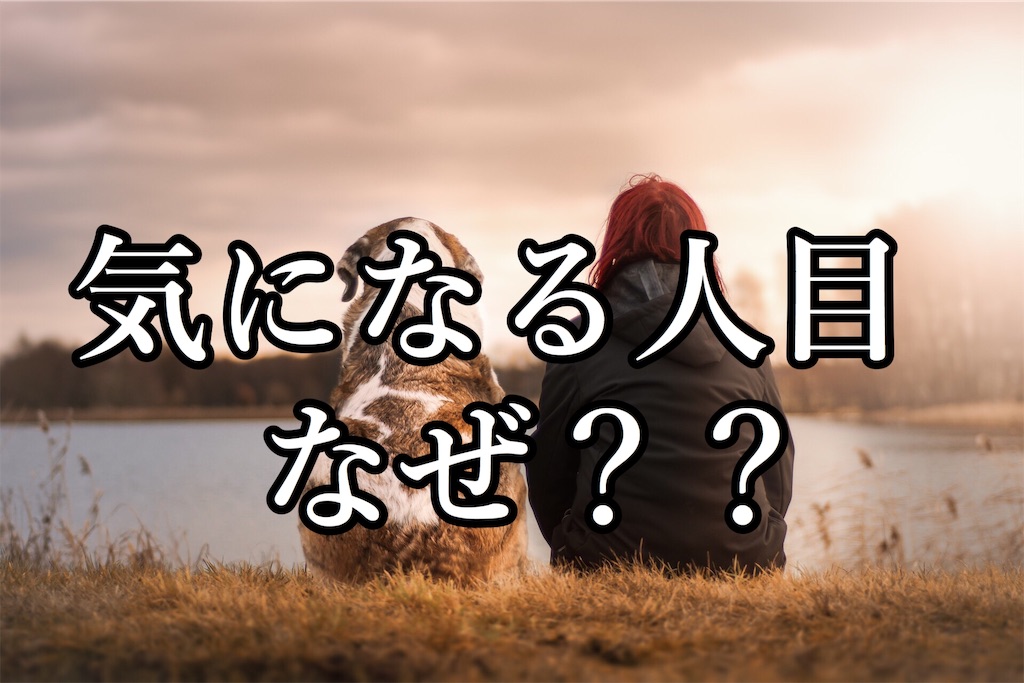 f:id:kan2chan2121:20190319150603j:image