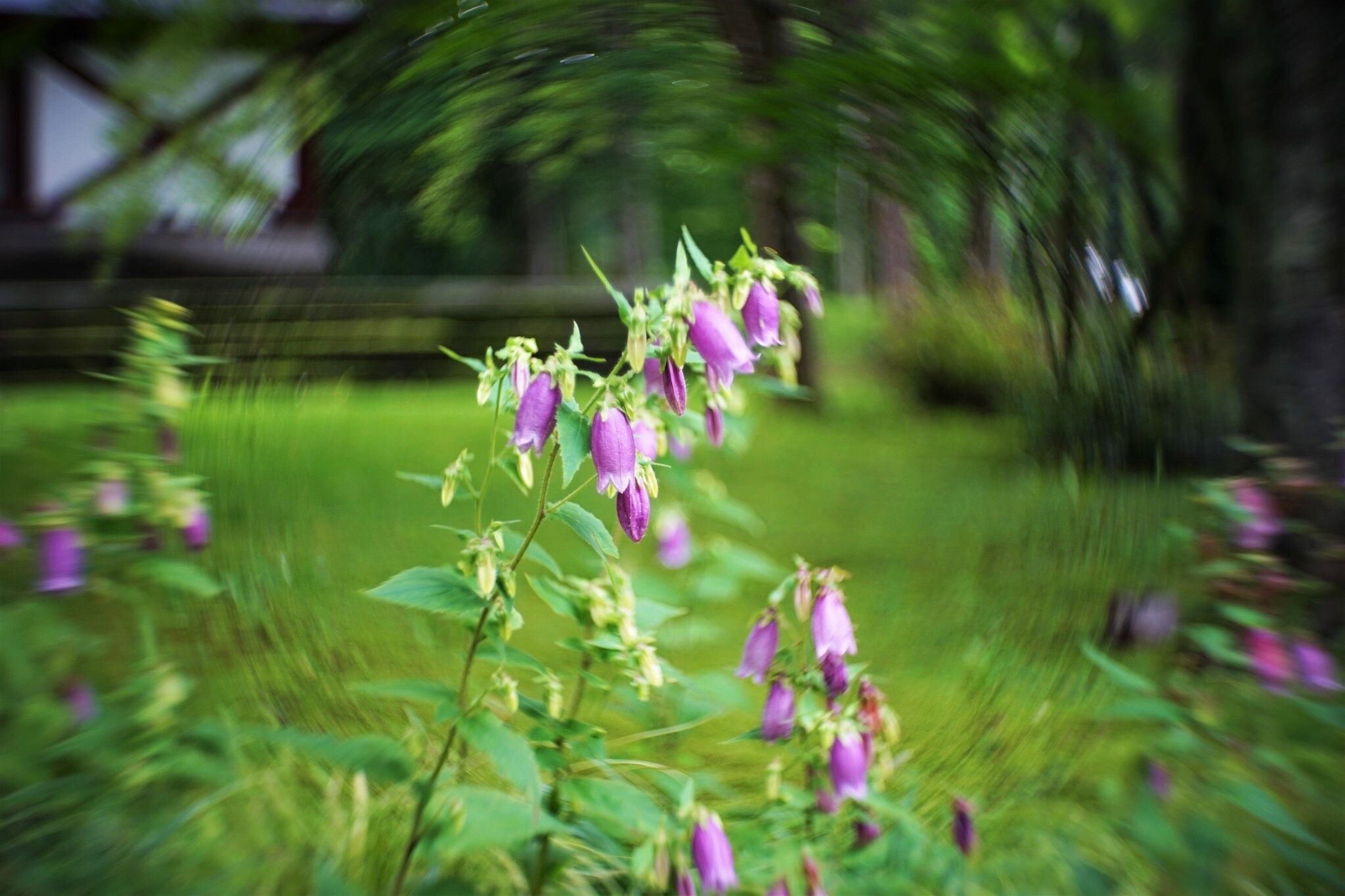 f:id:kana-contax:20190812230145j:image