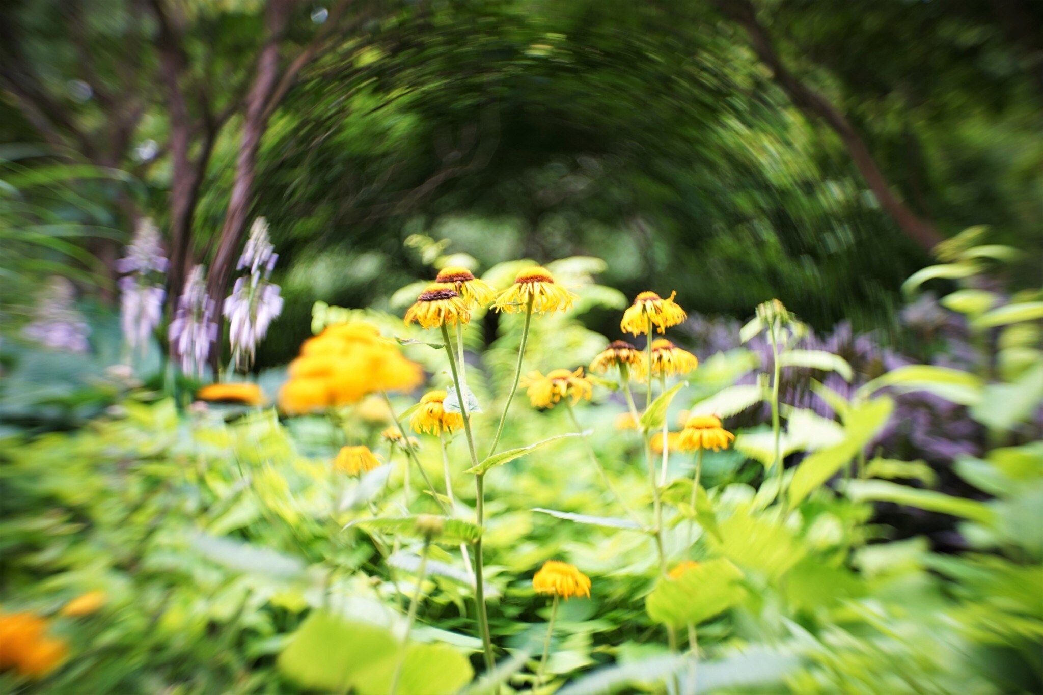 f:id:kana-contax:20190812230324j:image