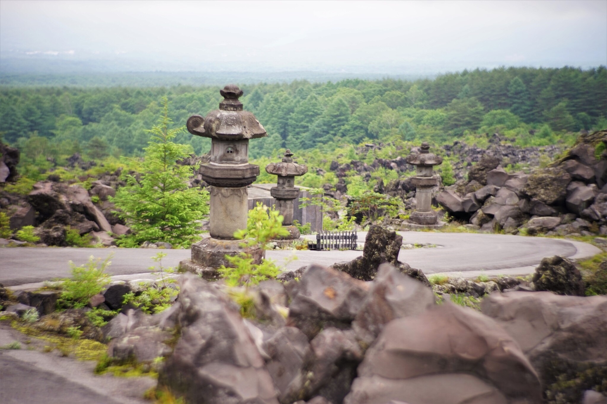 f:id:kana-contax:20190812230328j:image