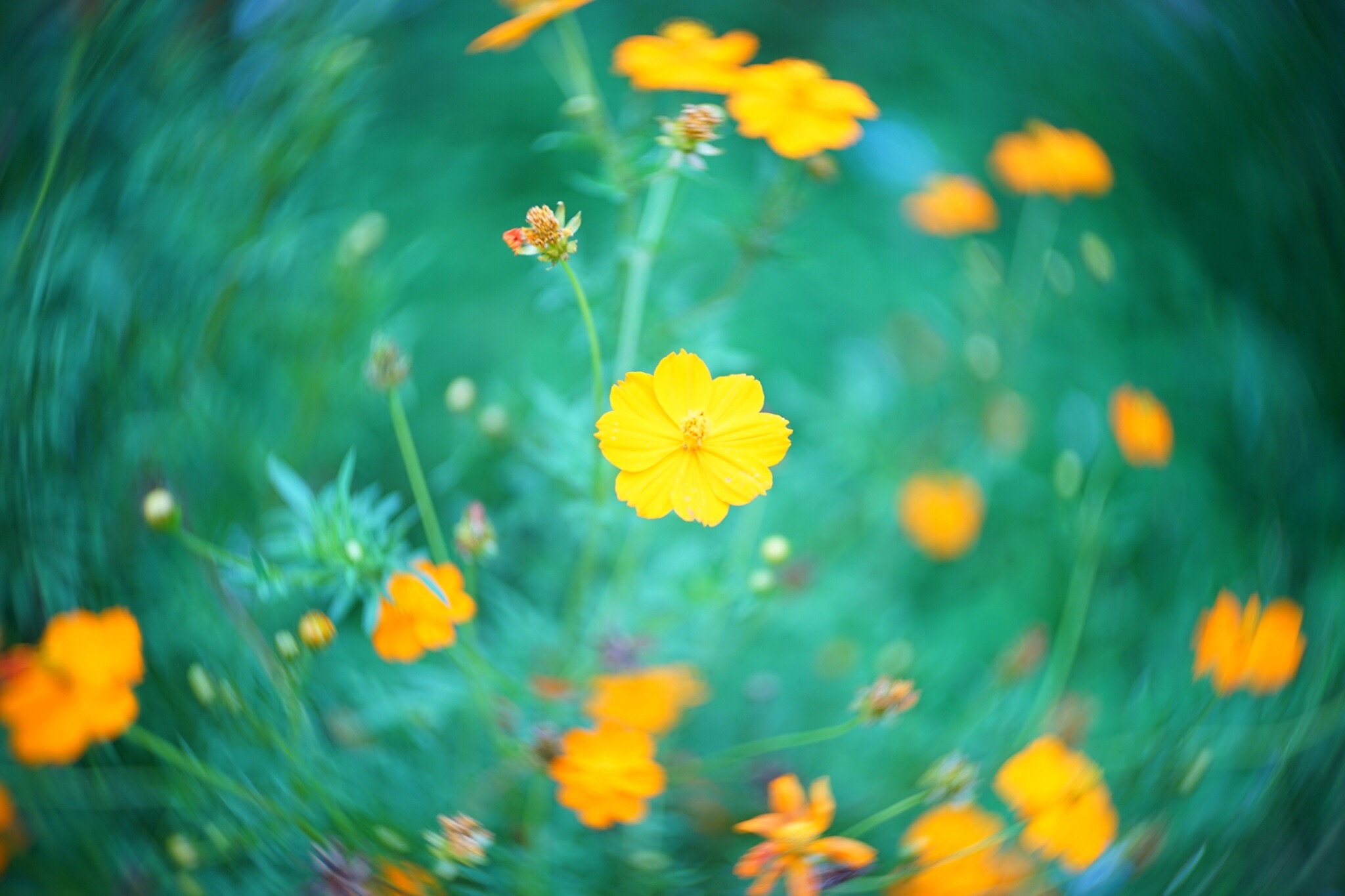 f:id:kana-contax:20190914214753j:image