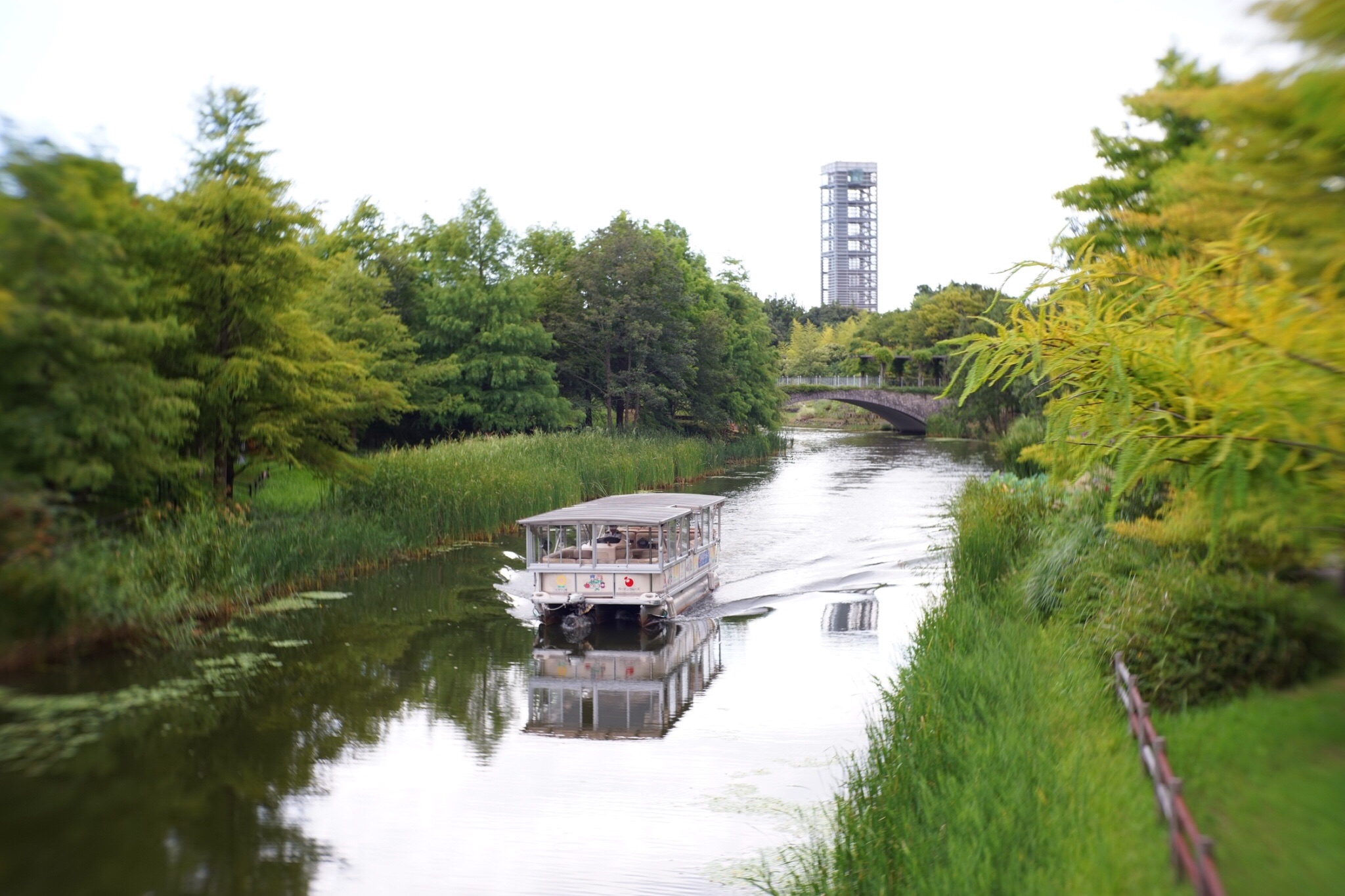 f:id:kana-contax:20190914214813j:image