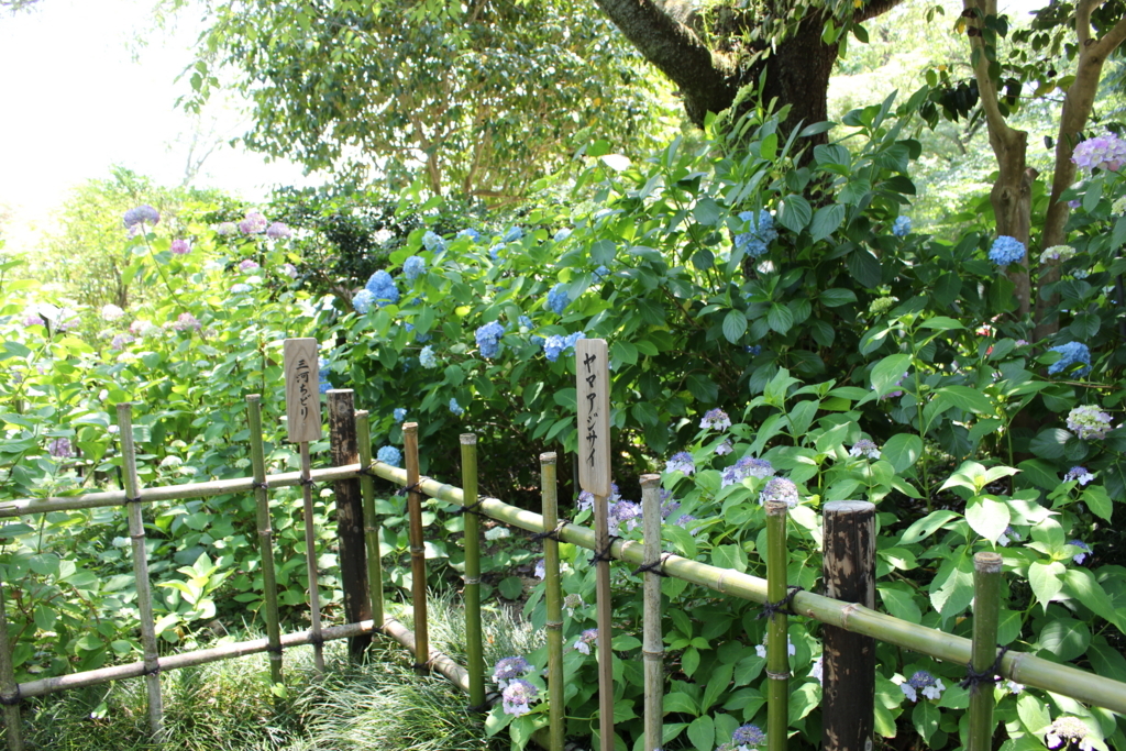 f:id:kana-hira:20170611203946j:plain f:id:kana-hira:20170611203946j:plain