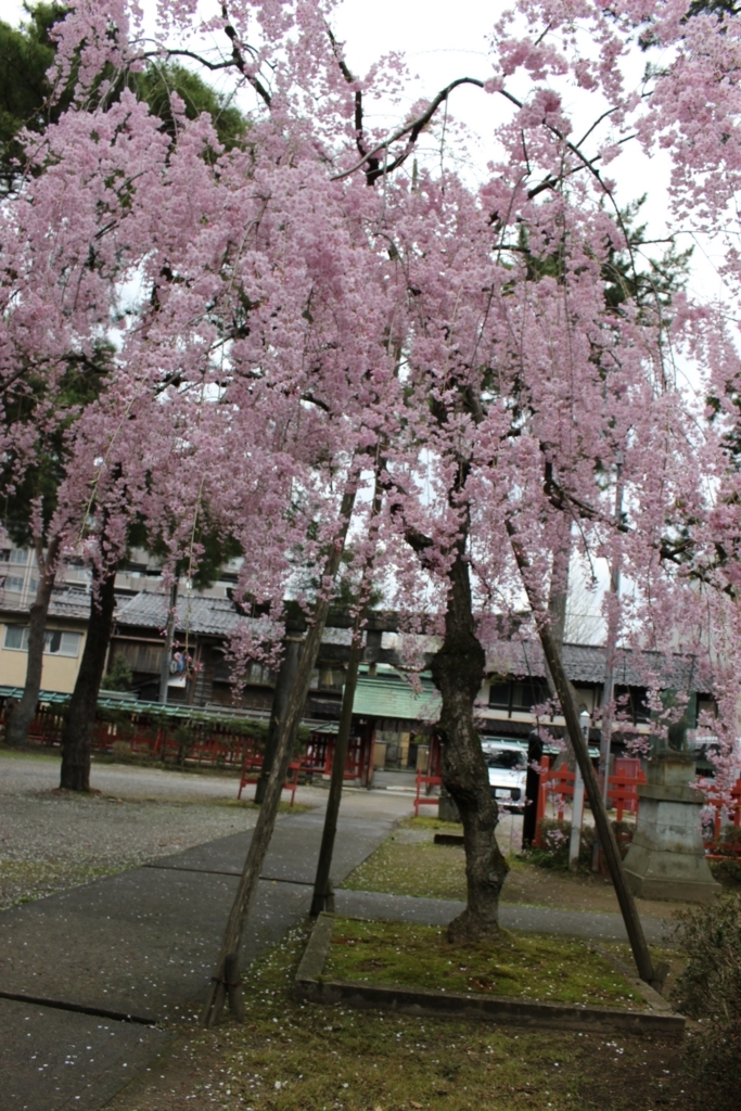 f:id:kana-hira:20170709200721j:plain f:id:kana-hira:20170709200721j:plain