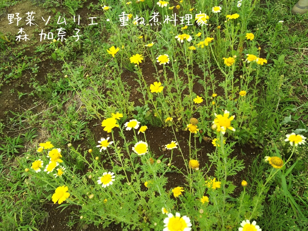 f:id:kana-note:20170630090118j:plain f:id:kana-note:20170630090118j:plain