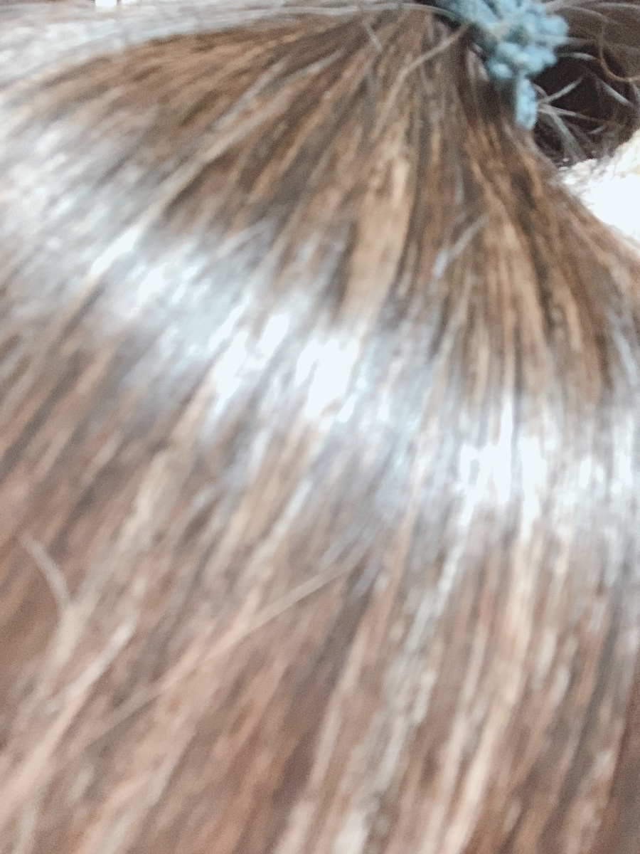 f:id:kana0430:20200216082717j:plain