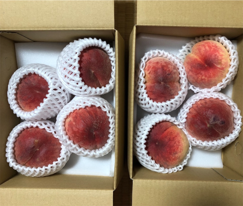 f:id:kana3812:20250712201211j:image f:id:kana3812:20250712201211j:image