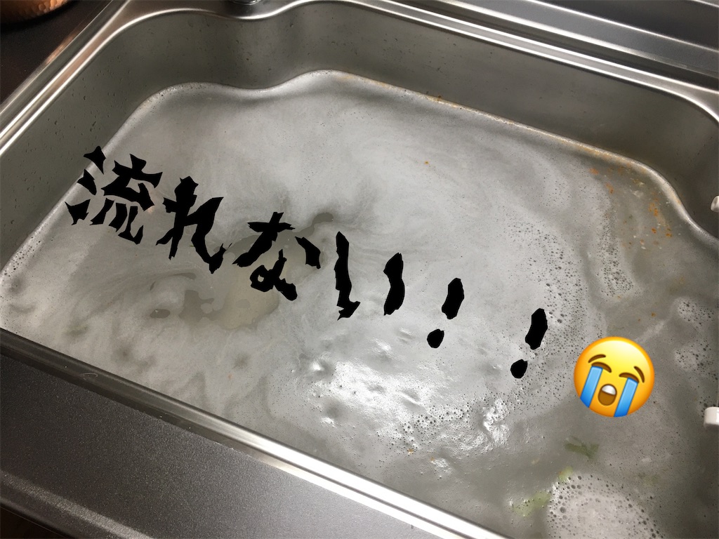 f:id:kana_123:20201119014433j:image f:id:kana_123:20201119014433j:image