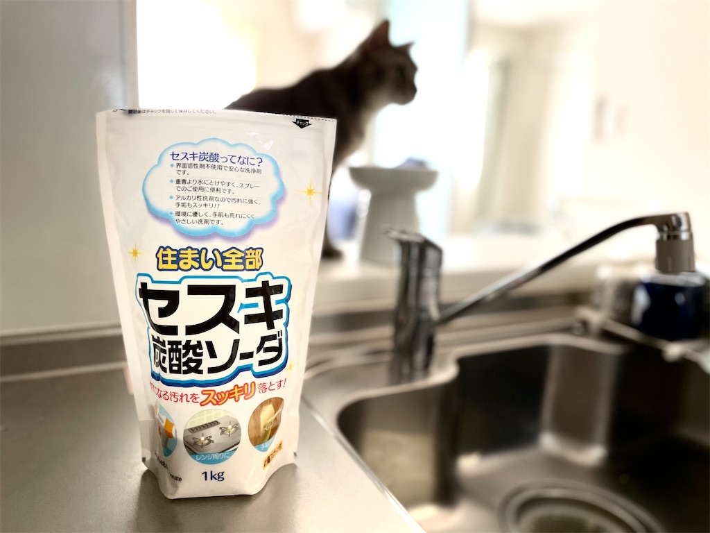 f:id:kana_123:20210505005151j:image f:id:kana_123:20210505005151j:image