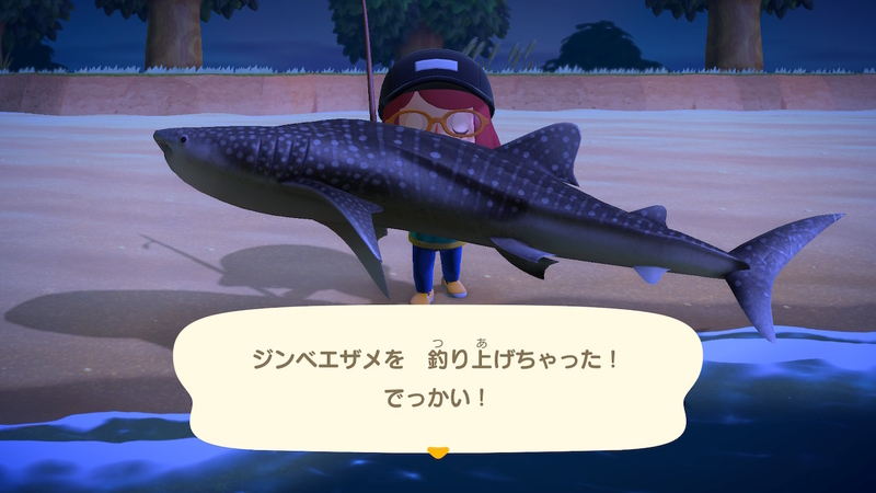 f:id:kana_app:20200322145543j:plain