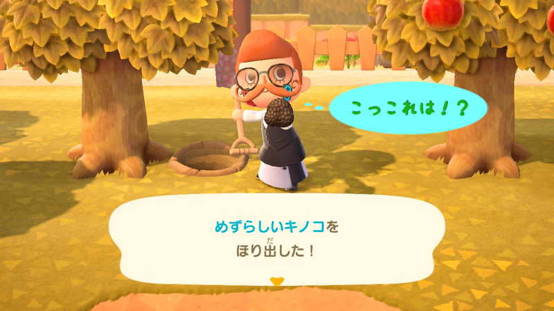 f:id:kana_app:20200510165831j:plain