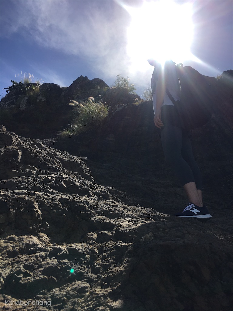f:id:kanabonchang:20200212164713j:image