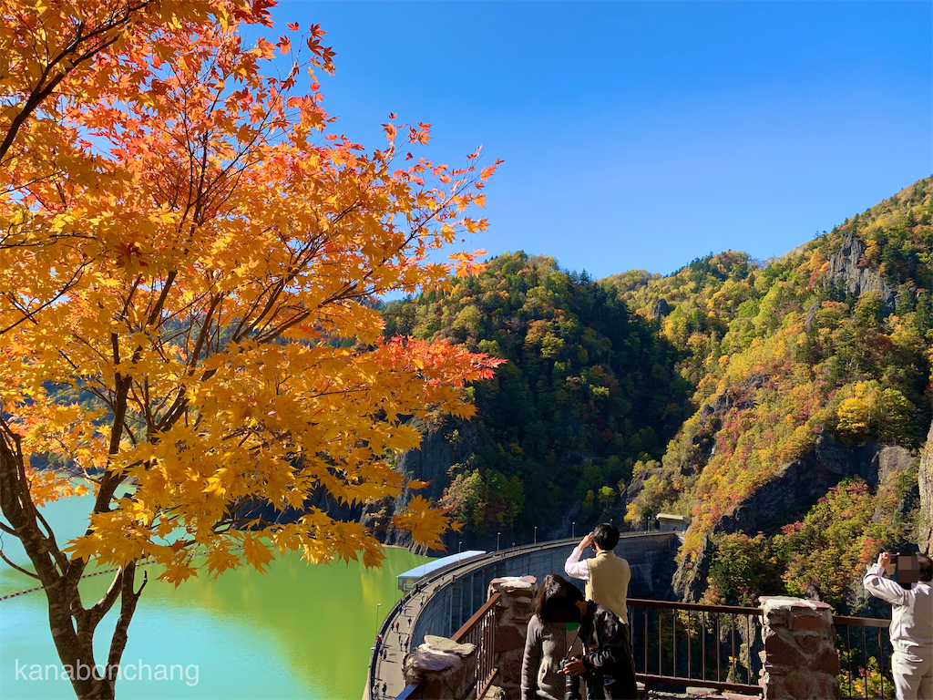 f:id:kanabonchang:20200603092631p:image