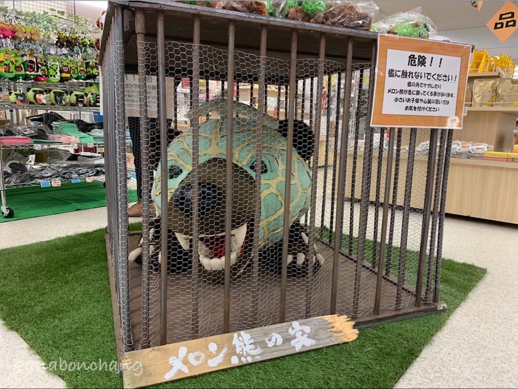 f:id:kanabonchang:20210601174142j:image