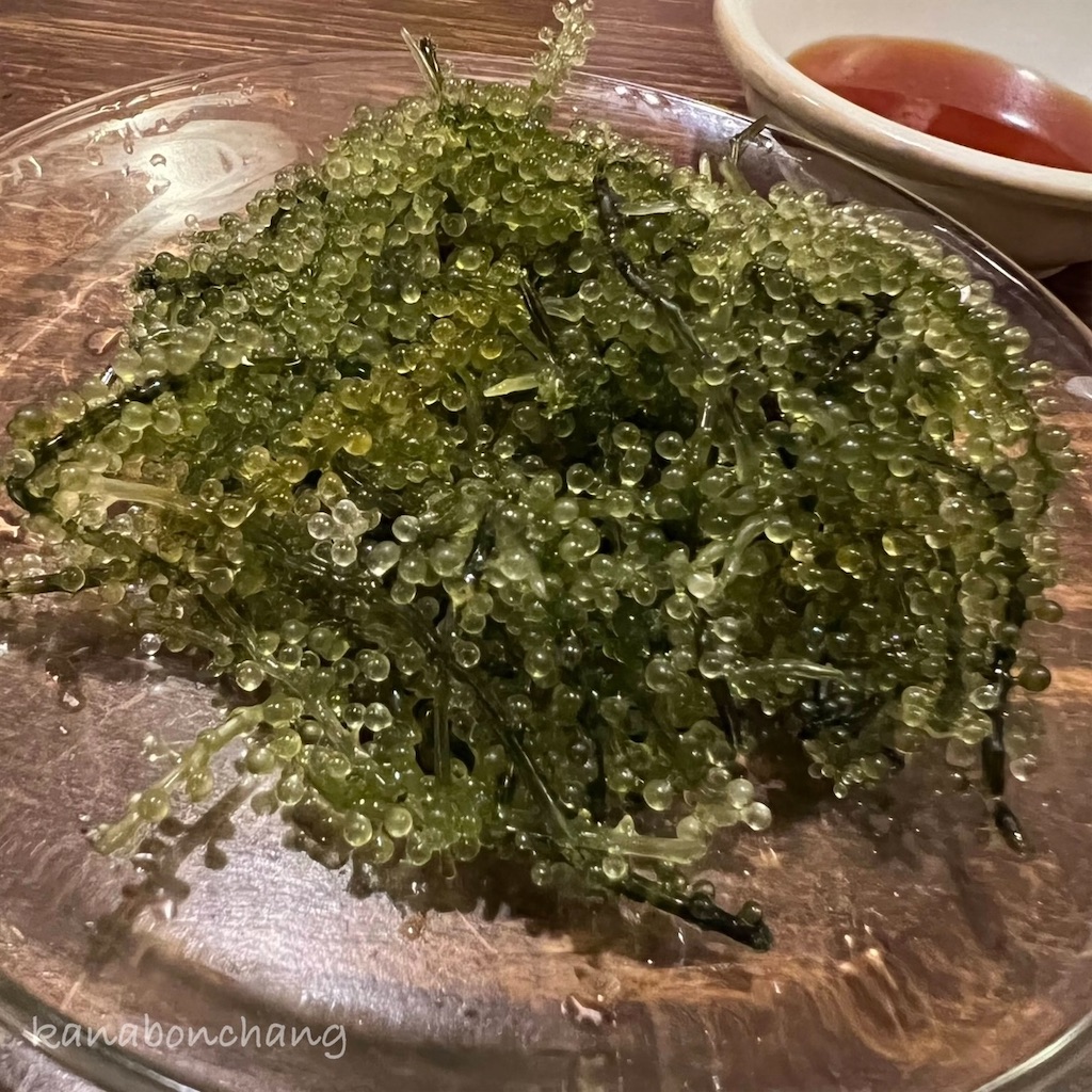 f:id:kanabonchang:20220905190834j:image