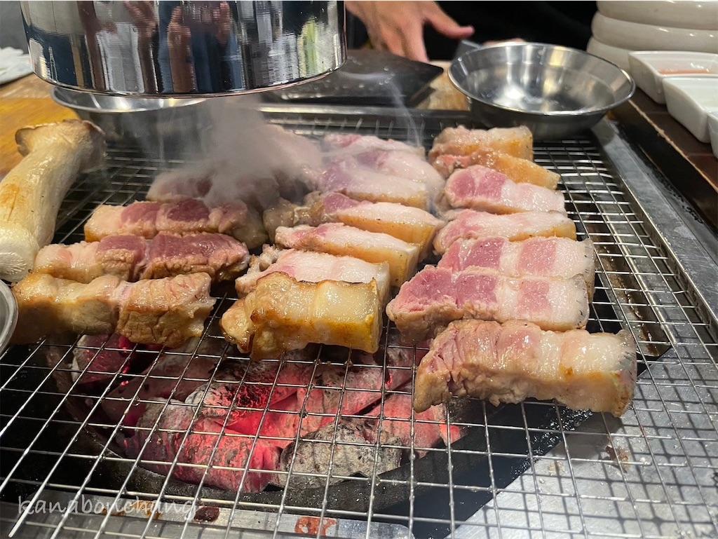 f:id:kanabonchang:20241116222500j:image
