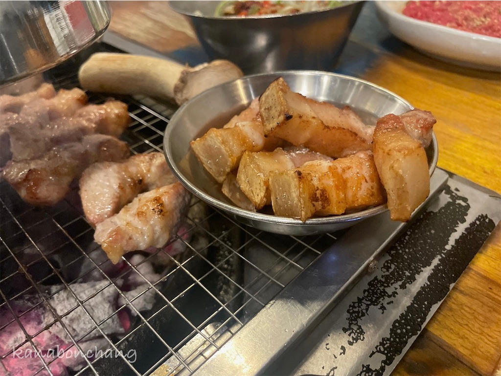 f:id:kanabonchang:20241116222505j:image