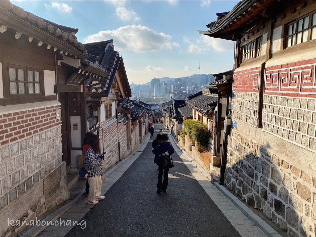 f:id:kanabonchang:20241120132047j:image