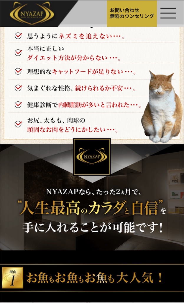 f:id:kanaderiko:20160402034954j:image f:id:kanaderiko:20160402034954j:image