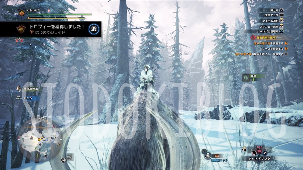 f:id:kanaderiko:20190906144809j:image