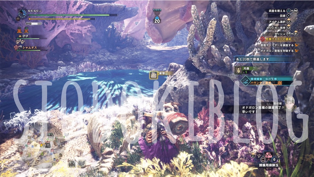 f:id:kanaderiko:20190914041750j:image