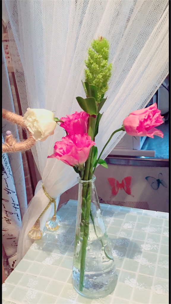 f:id:kanae1211:20160903192555j:image f:id:kanae1211:20160903192555j:image
