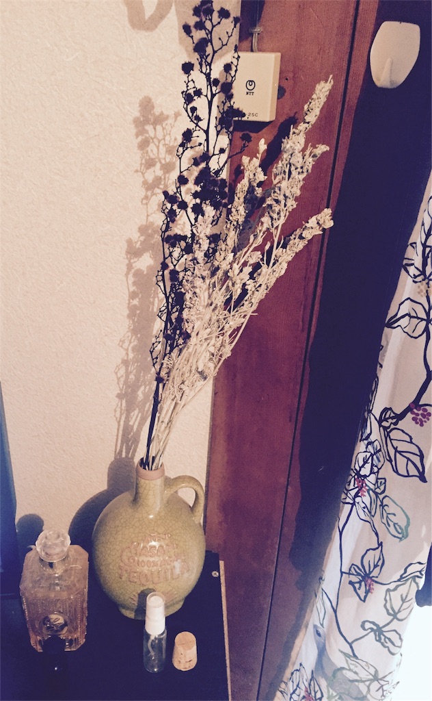 f:id:kanae1211:20170122141449j:image f:id:kanae1211:20170122141449j:image