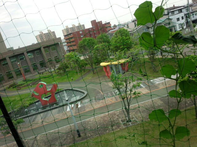 f:id:kanaenano1987:20170625213746j:plain f:id:kanaenano1987:20170625213746j:plain