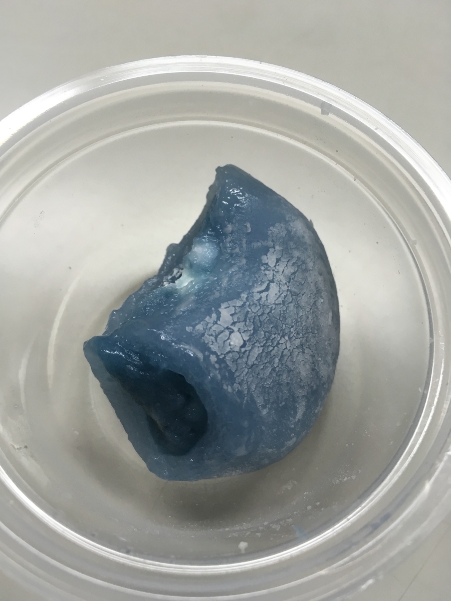 f:id:kanagisan:20190924233802j:plain