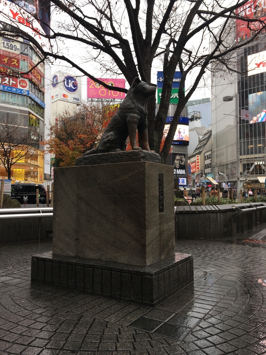 f:id:kanagisan:20191230233407j:plain f:id:kanagisan:20191230233407j:plain
