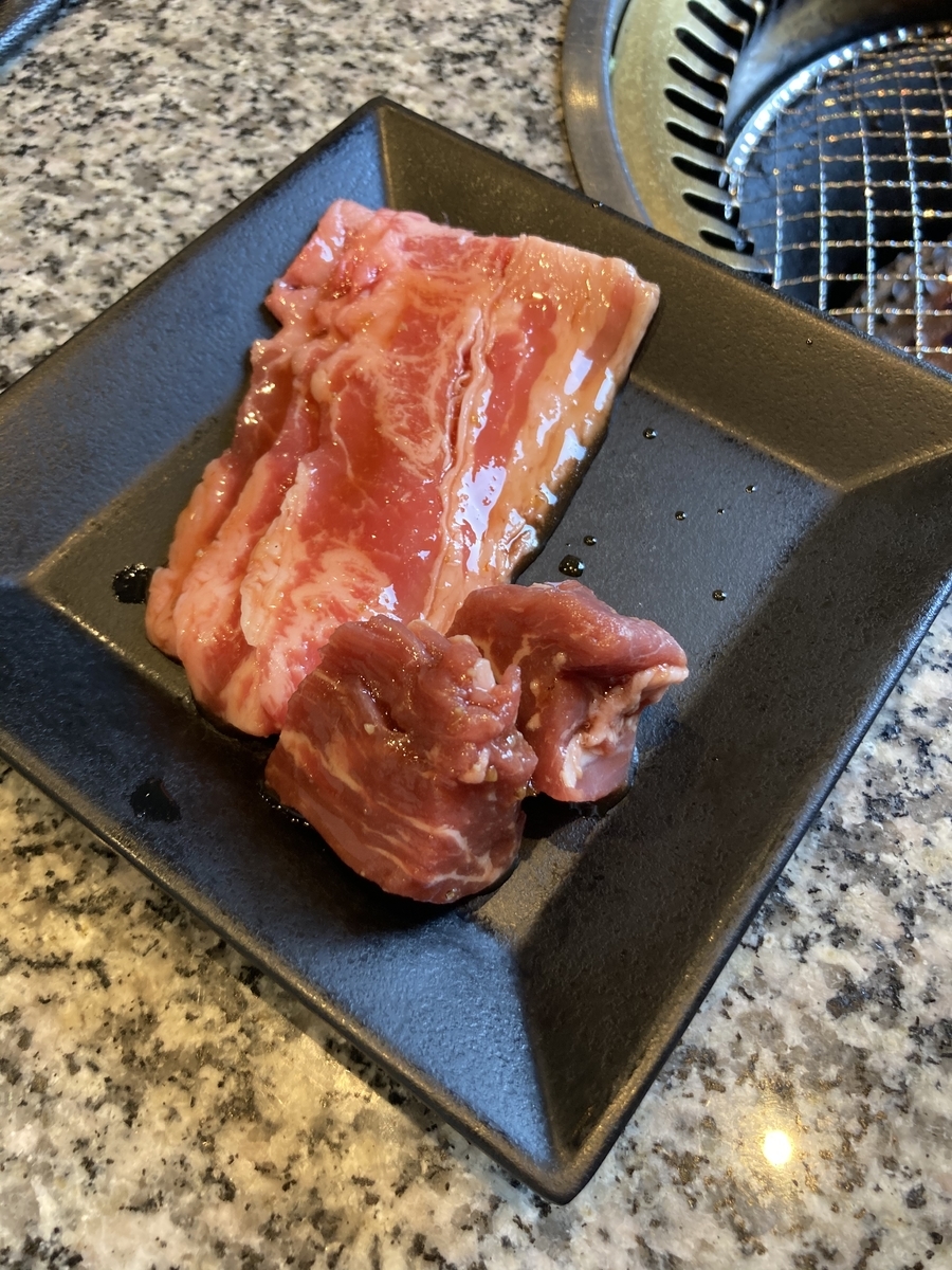 f:id:kanagisan:20210221020555j:plain