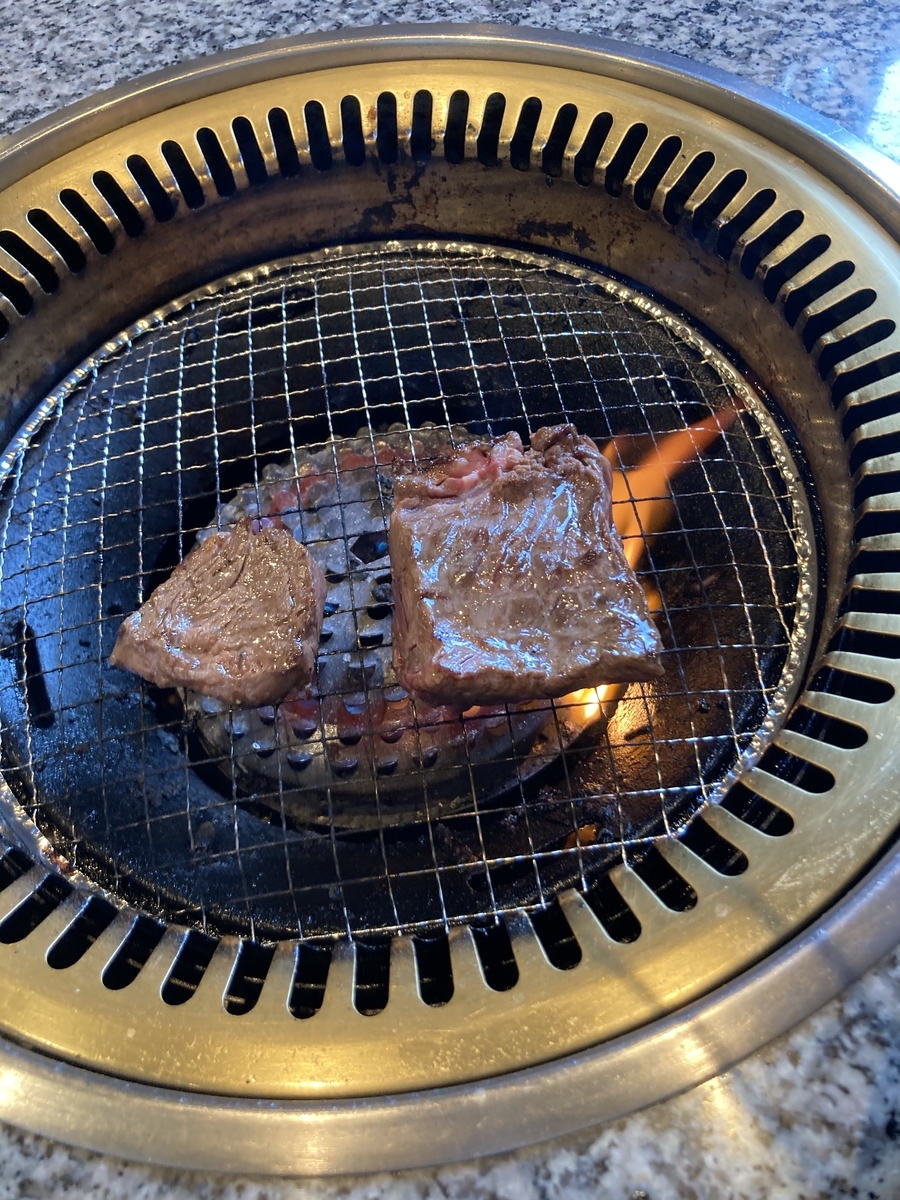 f:id:kanagisan:20210221020834j:plain