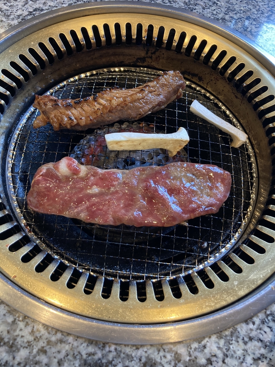 f:id:kanagisan:20210221020909j:plain