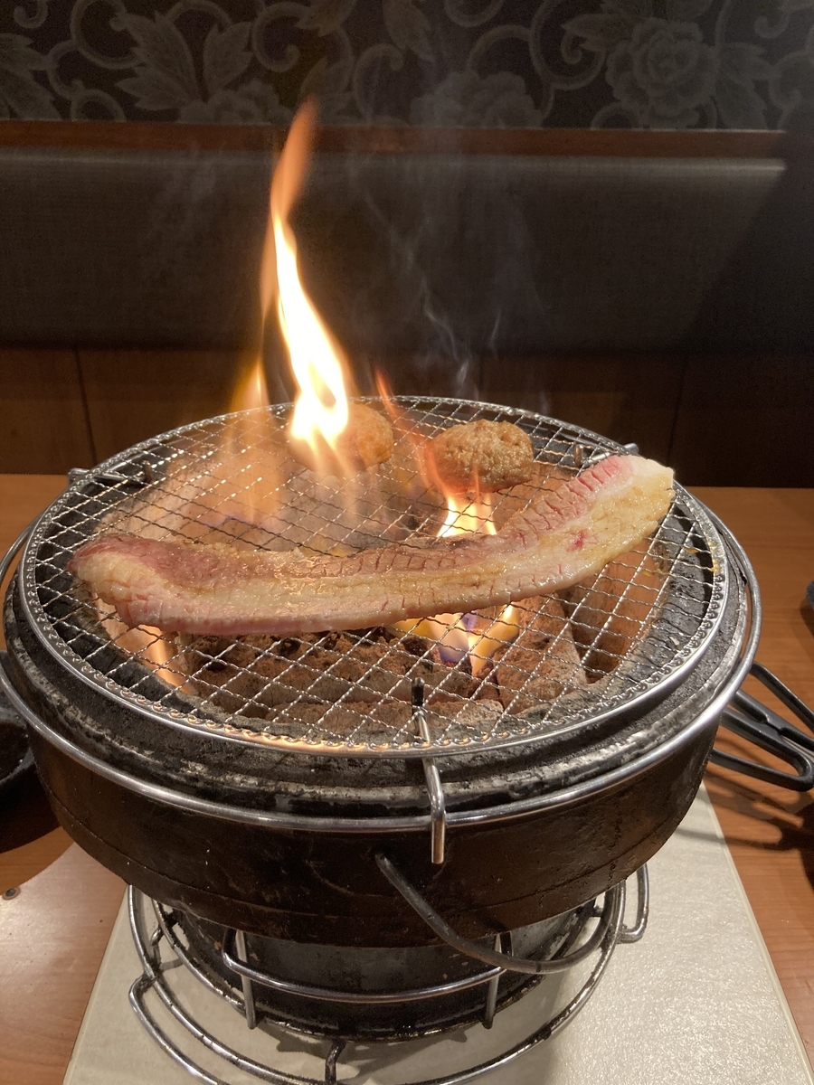 f:id:kanagisan:20210402132652j:plain