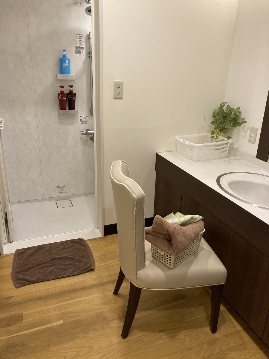 f:id:kanagisan:20210510223139j:plain