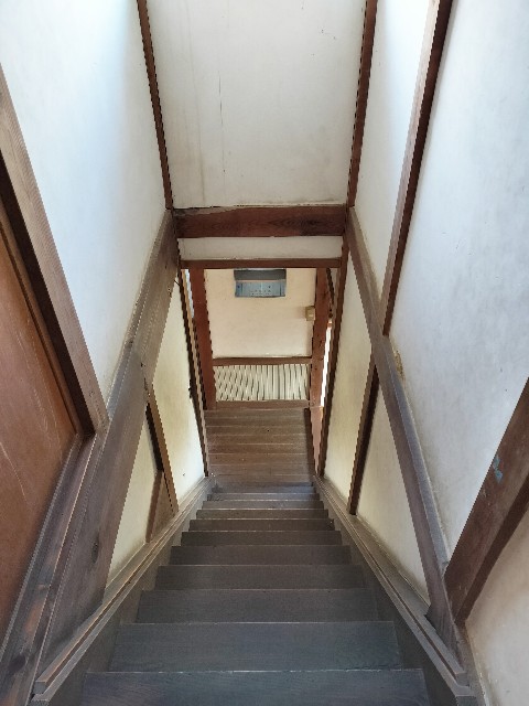 f:id:kanakanakanax:20250309162357j:image