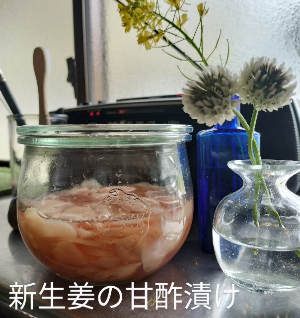 f:id:kanakanakanax:20250418084748j:image
